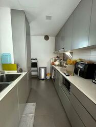 Amber Gardens (D15), Condominium #574278031